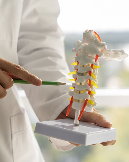 Spinal Cord Injury
